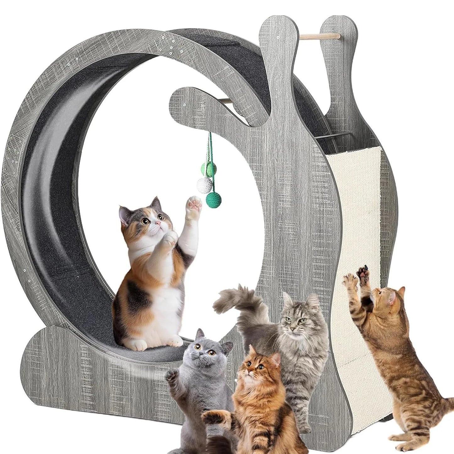 HiMISS Cat Exercise Wheel Treadmill For Indoor Fitness