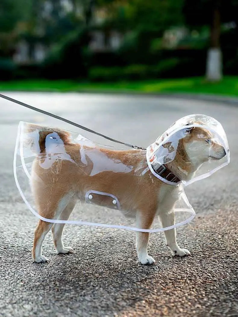 Transparent Dog Raincoat With Hat Waterproof Pet Raincoat
