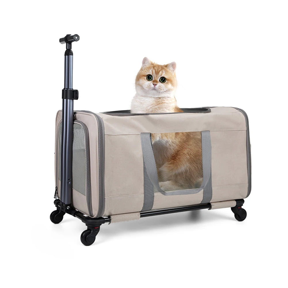 Cat Transport Carrier With Wheels For Two Cats Safety Belts