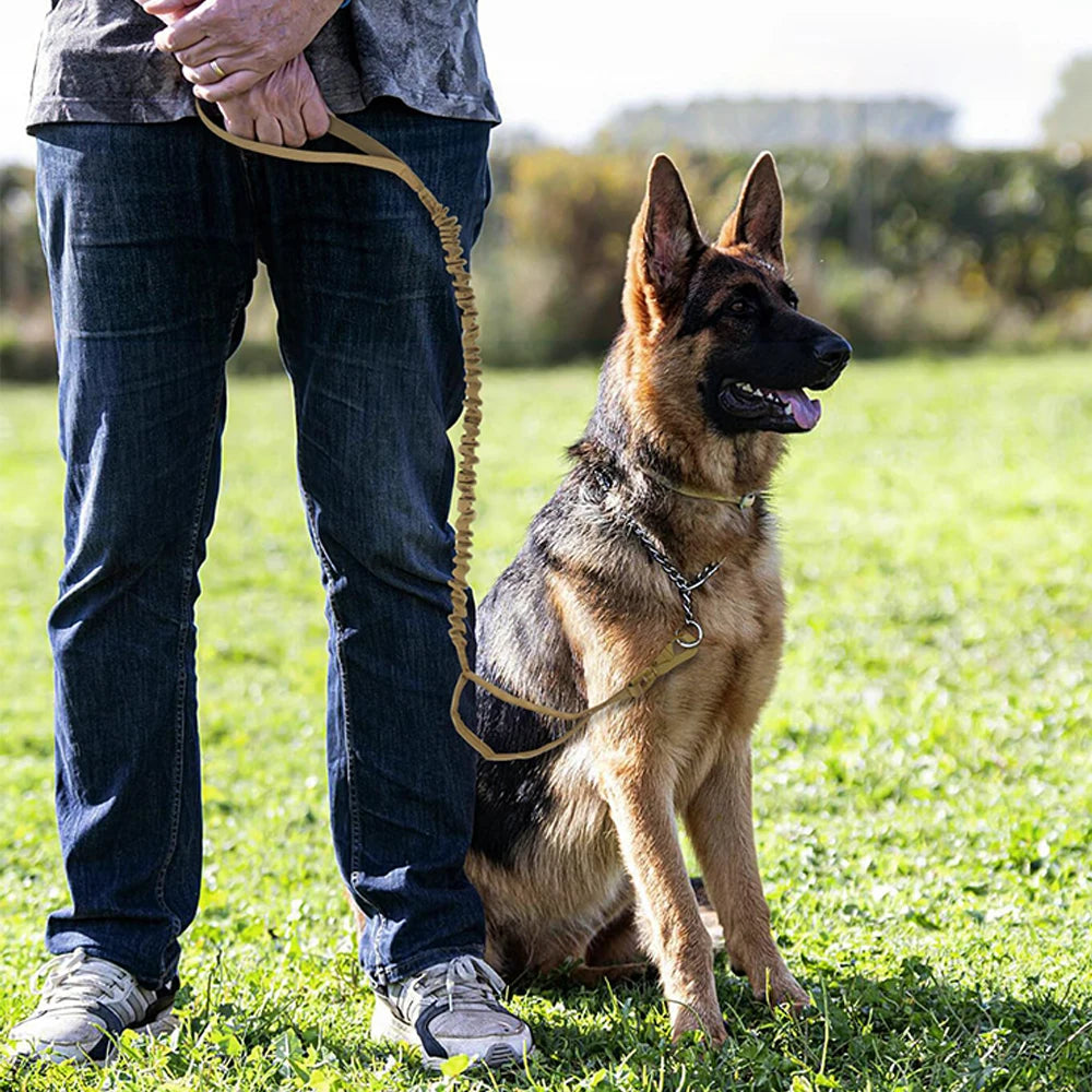 PETRAVELCN Military Dog Leash Adjustable Quick Release Dual Handles