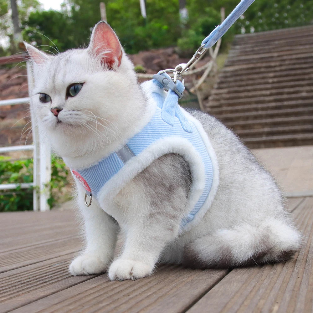 Autumn Winter Warm Chihuahua Harness With Fur And Leash Set
