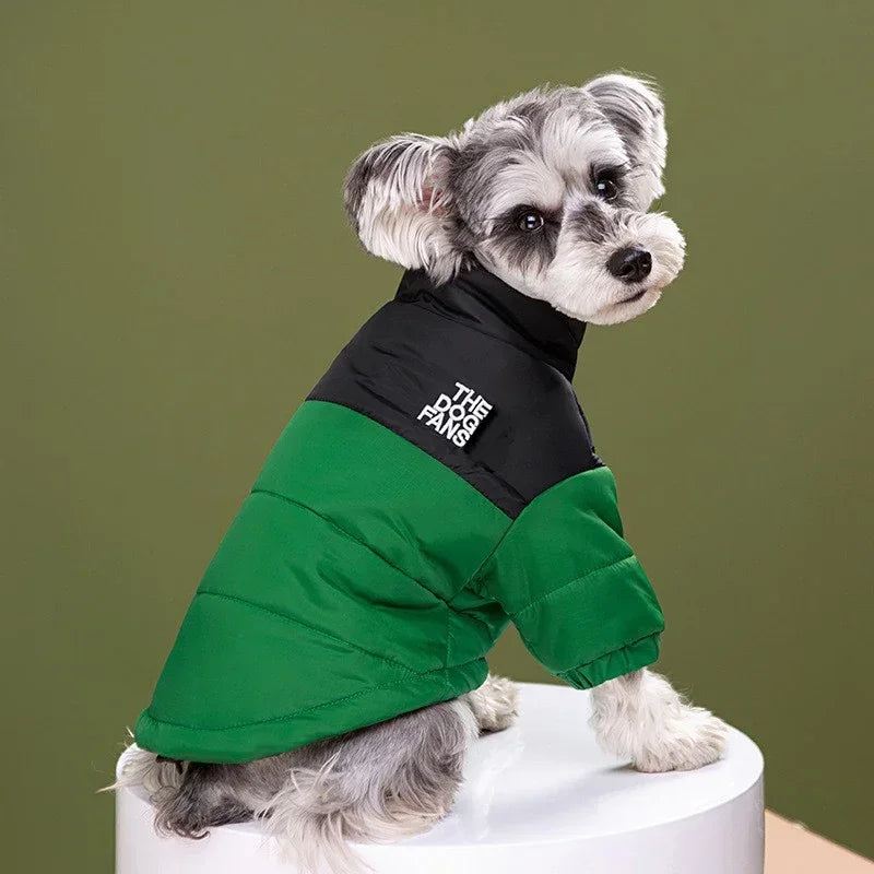 Trendy Embroidered Dog Coat For Autumn And Winter Wear